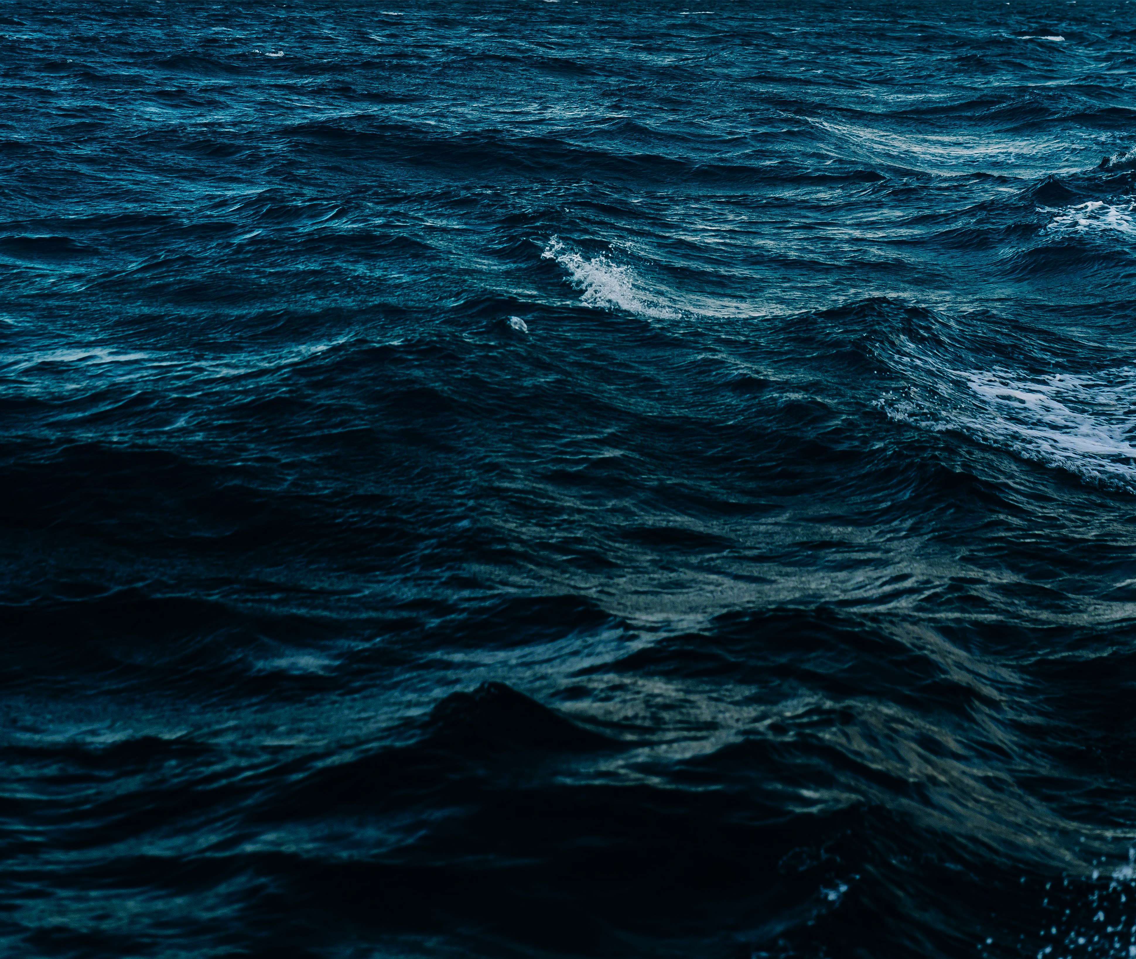 Ocean